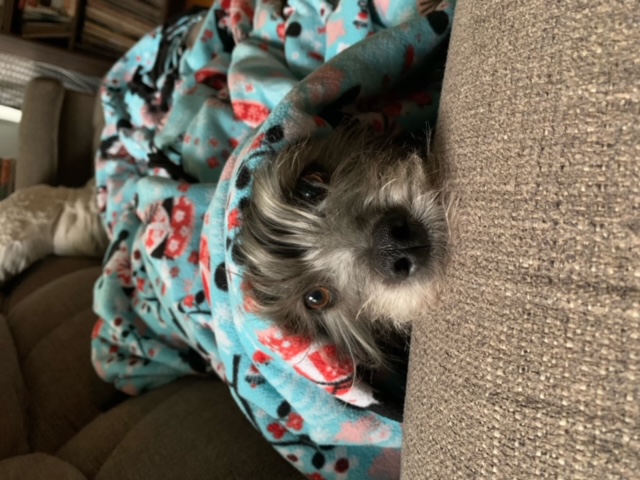 image3.jpeg